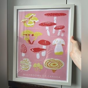 Mushrooms of Canada Print